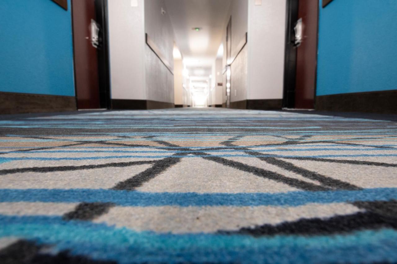 Comfort Inn & Suites Near Medical Center Сан Антонио Екстериор снимка