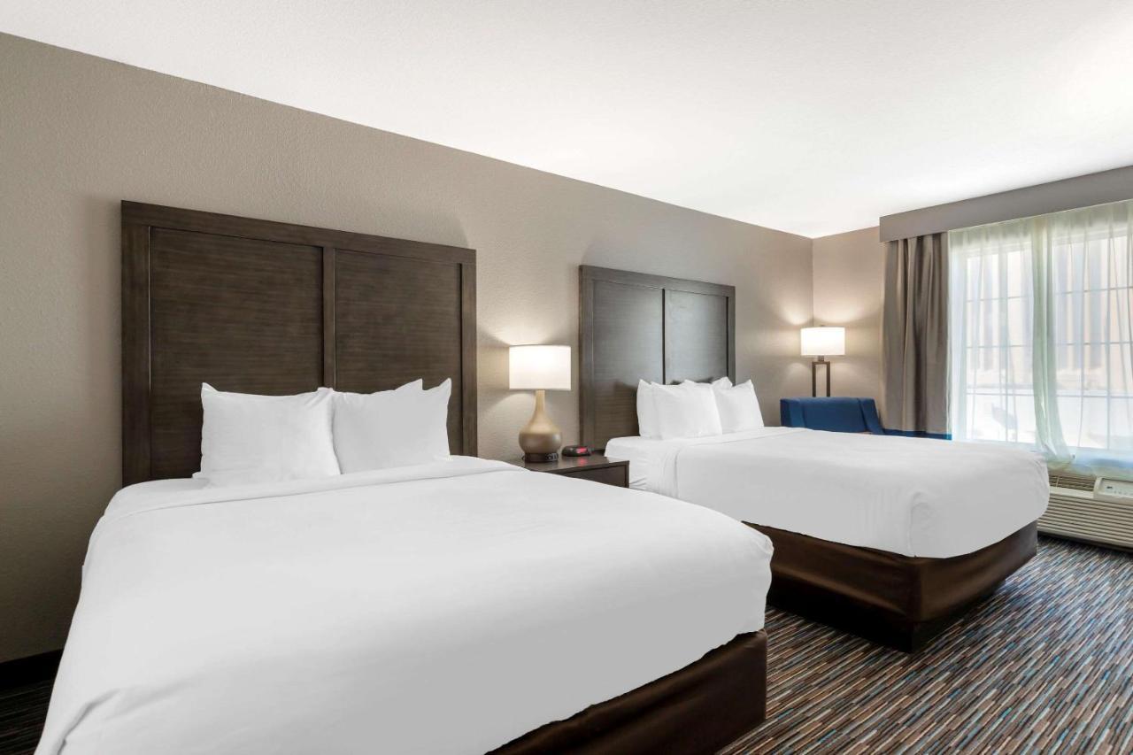Comfort Inn & Suites Near Medical Center Сан Антонио Екстериор снимка